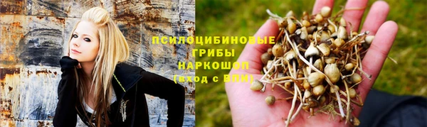 амф Абдулино